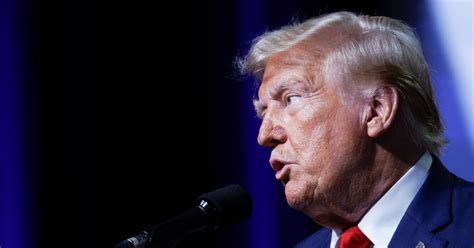 Trump says he wants to make IVF treatments paid for by .